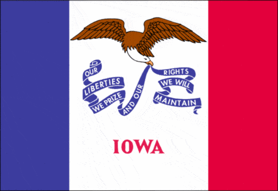 State Flag - Iowa