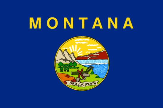 State Flag - Montana