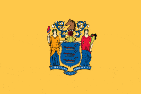 State Flag - New Jersey