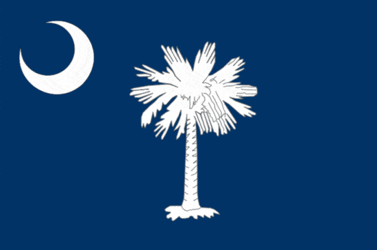 State Flag - South Carolina